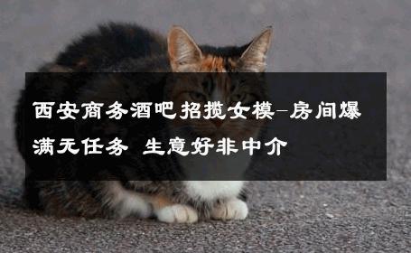 西安商务酒吧招揽女模-房间爆满无任务 生意好非中介