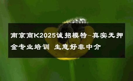 南京商K2025诚招模特-真实无押金专业培训 生意好非中介