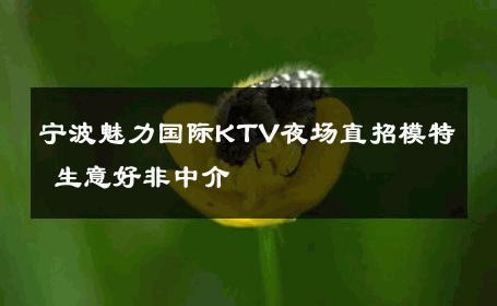宁波魅力国际KTV夜场直招模特 生意好非中介