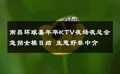 南昌环球嘉年华KTV夜场夜总会急招女模日结 生意好非中介