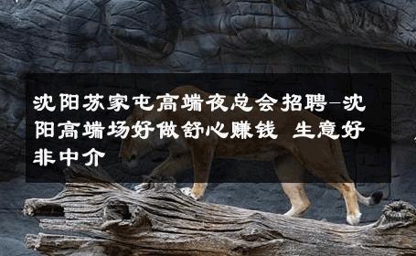 沈阳苏家屯高端夜总会招聘-沈阳高端场好做舒心赚钱 生意好非中介