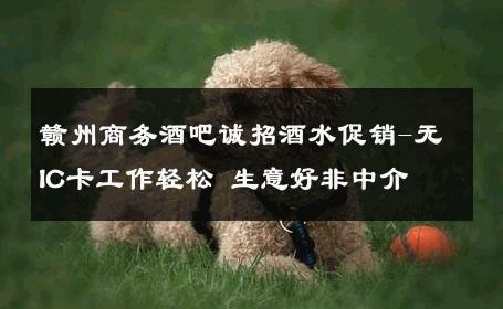 赣州商务酒吧诚招酒水促销-无IC卡工作轻松 生意好非中介