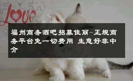 福州商务酒吧招募佳丽-正规商务平台免一切费用 生意好非中介