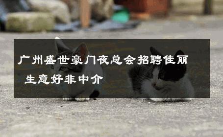 广州盛世豪门夜总会招聘佳丽 生意好非中介
