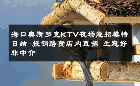 海口奥斯罗克KTV夜场急招模特日结-报销路费店内直招 生意好非中介