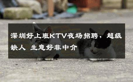 深圳好上班KTV夜场招聘，超级缺人 生意好非中介