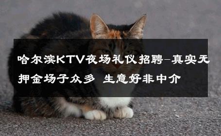 哈尔滨KTV夜场礼仪招聘-真实无押金场子众多 生意好非中介