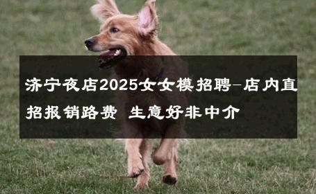 济宁夜店2025女女模招聘-店内直招报销路费 生意好非中介