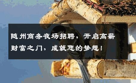 随州商务夜场招聘，开启高薪财富之门，成就您的梦想！