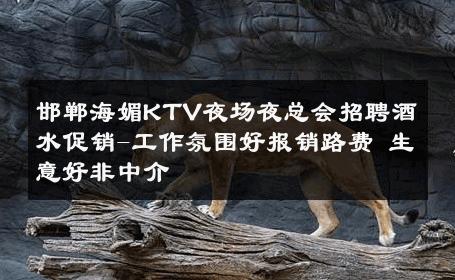 邯郸海媚KTV夜场夜总会招聘酒水促销-工作氛围好报销路费 生意好非中介