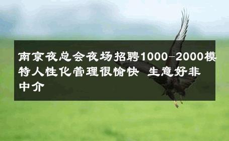 南京夜总会夜场招聘1000-2000模特人性化管理很愉快 生意好非中介
