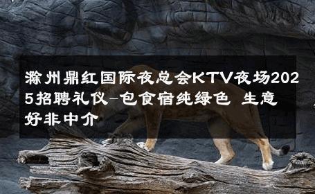 滁州鼎红国际夜总会KTV夜场2025招聘礼仪-包食宿纯绿色 生意好非中介