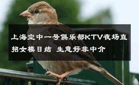 上海空中一号俱乐部KTV夜场直招女模日结 生意好非中介