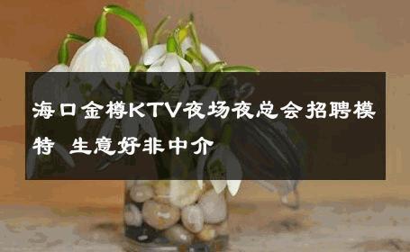 海口金樽KTV夜场夜总会招聘模特 生意好非中介