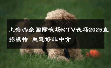 上海帝豪国际夜场KTV夜场2025直招模特 生意好非中介