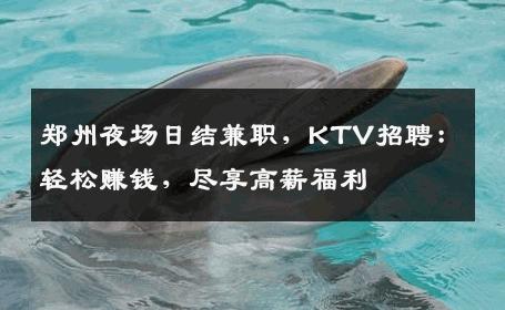 郑州夜场日结兼职，KTV招聘：轻松赚钱，尽享高薪福利