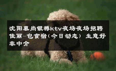 沈阳慕尚银樽ktv夜场夜场招聘佳丽-包食宿(今日动态) 生意好非中介