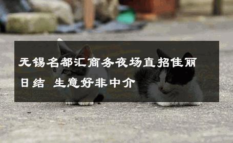 无锡名都汇商务夜场直招佳丽日结 生意好非中介