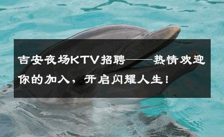 吉安夜场KTV招聘——热情欢迎你的加入，开启闪耀人生！