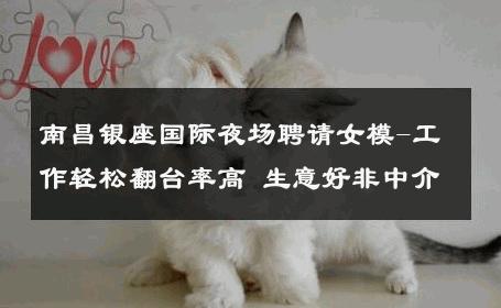 南昌银座国际夜场聘请女模-工作轻松翻台率高 生意好非中介