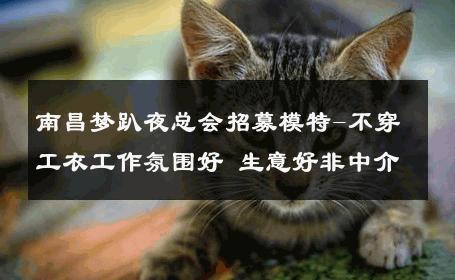 南昌梦趴夜总会招募模特-不穿工衣工作氛围好 生意好非中介