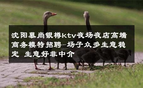 沈阳慕尚银樽ktv夜场夜店高端商务模特招聘-场子众多生意稳定 生意好非中介