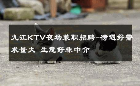 九江KTV夜场兼职招聘-待遇好需求量大 生意好非中介