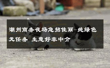 潮州商务夜场急招佳丽-纯绿色无任务 生意好非中介
