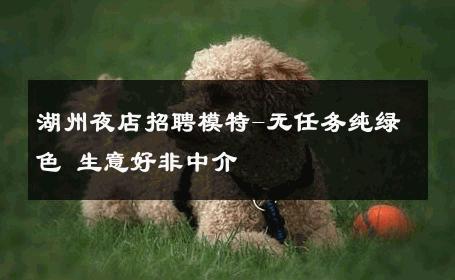 湖州夜店招聘模特-无任务纯绿色 生意好非中介