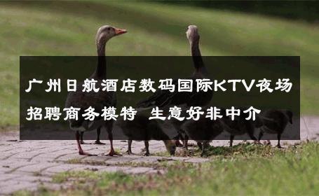 广州日航酒店数码国际KTV夜场招聘商务模特 生意好非中介