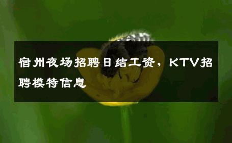 宿州夜场招聘日结工资，KTV招聘模特信息