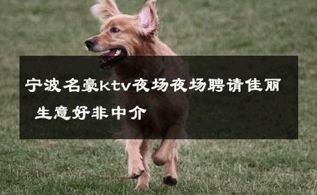 宁波名豪ktv夜场夜场聘请佳丽 生意好非中介