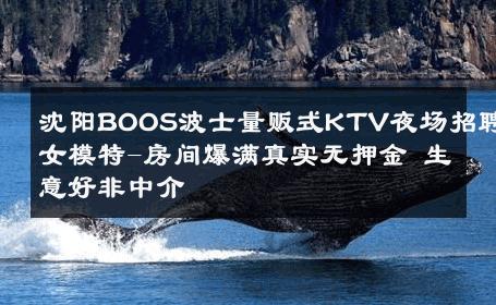 沈阳BOOS波士量贩式KTV夜场招聘女模特-房间爆满真实无押金 生意好非中介