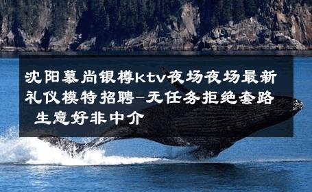 沈阳慕尚银樽ktv夜场夜场最新礼仪模特招聘-无任务拒绝套路 生意好非中介