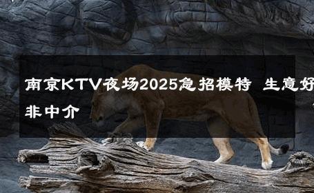 南京KTV夜场2025急招模特 生意好非中介
