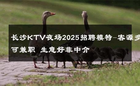 长沙KTV夜场2025招聘模特-客源多可兼职 生意好非中介