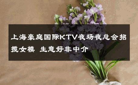 上海豪庭国际KTV夜场夜总会招揽女模 生意好非中介