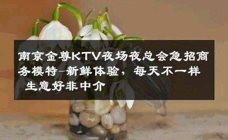 南京金尊KTV夜场夜总会急招商务模特-新鲜体验，每天不一样 生意好非中介
