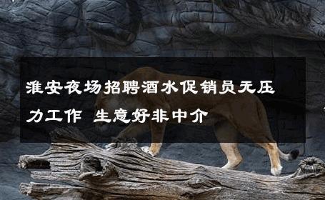 淮安夜场招聘酒水促销员无压力工作 生意好非中介