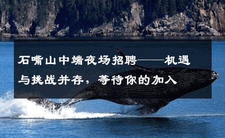 石嘴山中端夜场招聘——机遇与挑战并存，等待你的加入