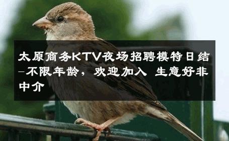 太原商务KTV夜场招聘模特日结-不限年龄，欢迎加入 生意好非中介