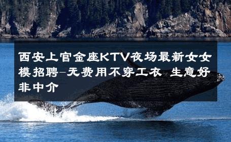 西安上官金座KTV夜场最新女女模招聘-无费用不穿工衣 生意好非中介