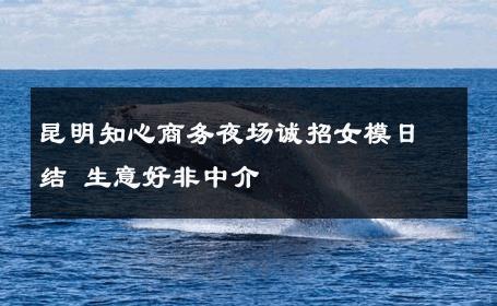 昆明知心商务夜场诚招女模日结 生意好非中介