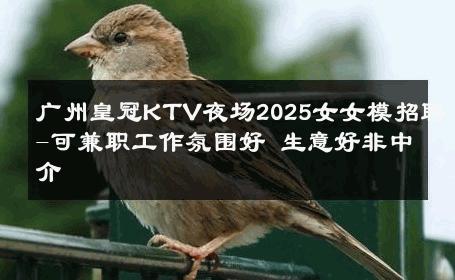 广州皇冠KTV夜场2025女女模招聘-可兼职工作氛围好 生意好非中介