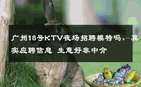 广州18号KTV夜场招聘模特吗,-真实应聘信息 生意好非中介