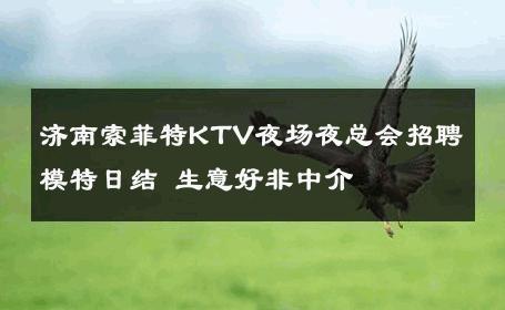 济南索菲特KTV夜场夜总会招聘模特日结 生意好非中介