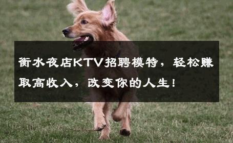 衡水夜店KTV招聘模特，轻松赚取高收入，改变你的人生！