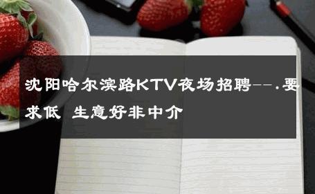 沈阳哈尔滨路KTV夜场招聘--.要求低 生意好非中介