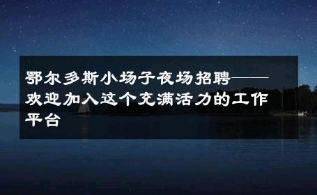 鄂尔多斯小场子夜场招聘——欢迎加入这个充满活力的工作平台
