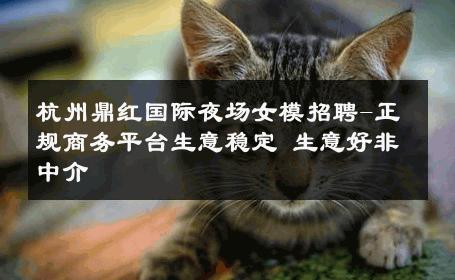 杭州鼎红国际夜场女模招聘-正规商务平台生意稳定 生意好非中介